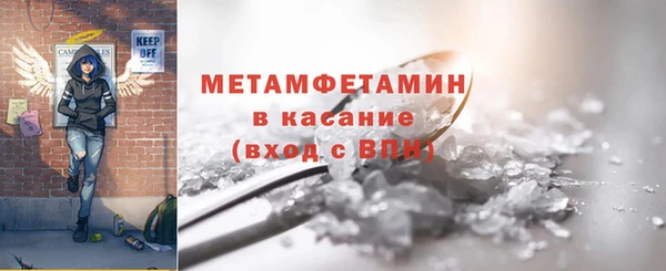 шишки Дмитриев