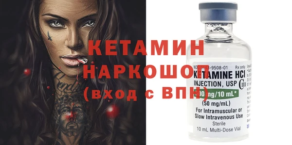 шишки Дмитриев