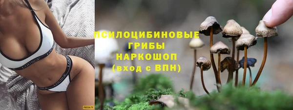 гидропоника Дмитровск