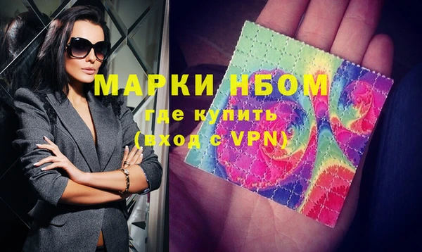 шишки Дмитриев