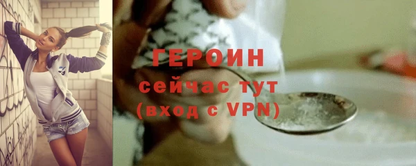 шишки Дмитриев