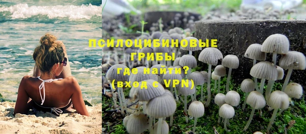 гашик Дмитров