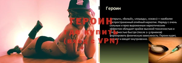гашик Дмитров