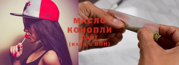 гашик Дмитров