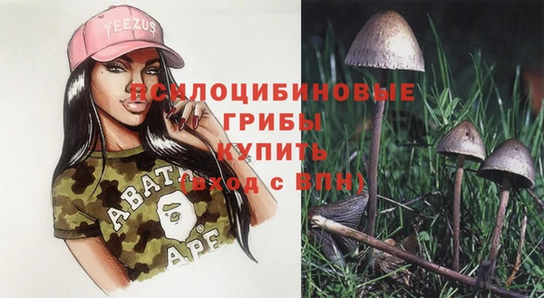 гидропоника Дмитровск