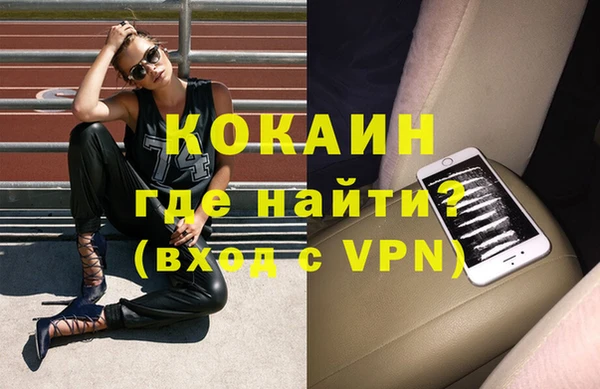 шишки Дмитриев