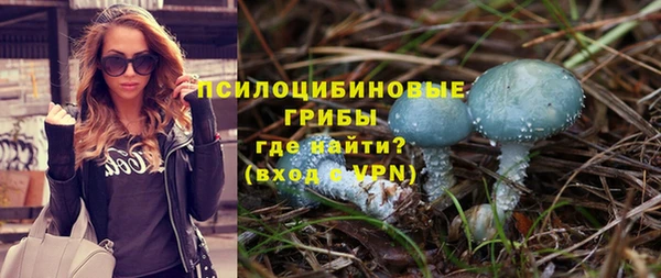 гашик Дмитров