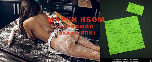 гашик Дмитров