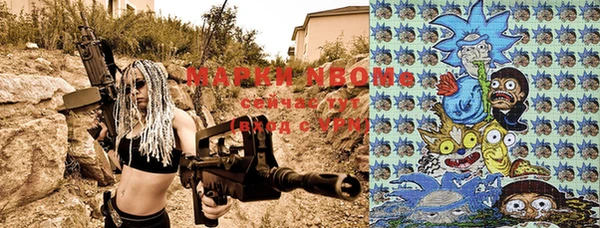 шишки Дмитриев