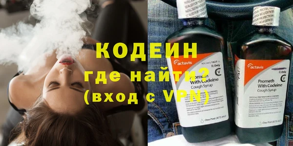 гашик Дмитров