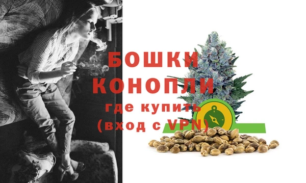 гашик Дмитров
