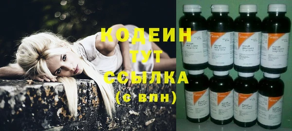 гашик Дмитров