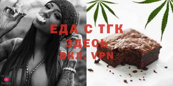 гашик Дмитров