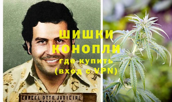 шишки Дмитриев