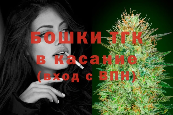 шишки Дмитриев