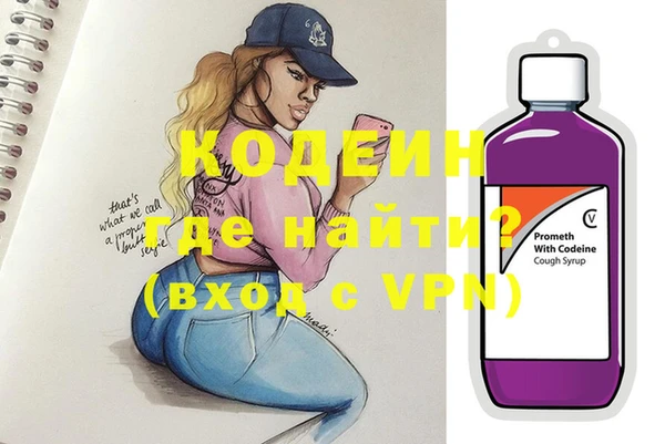 шишки Дмитриев