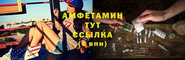 шишки Дмитриев