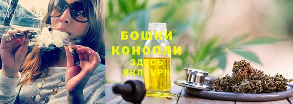 гашик Дмитров