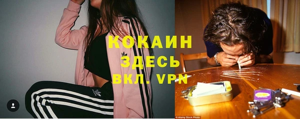 шишки Дмитриев