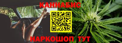 шишки Берёзовский