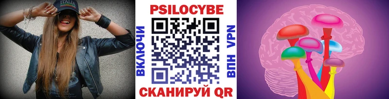 Псилоцибиновые грибы GOLDEN TEACHER  Камышин 
