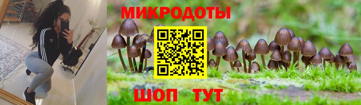Псилоцибиновые грибы мухоморы  Псилоцибиновые грибы MAGIC MUSHROOMS  Камышин  Вход с VPN 
