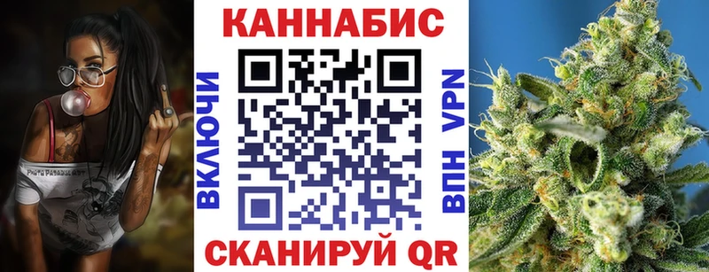 Конопля гибрид  Камышин 